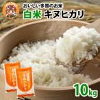 キヌヒカリ10kg おいしい多賀のお米