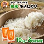 キヌヒカリ10kg×3回 おいしい多賀のお米