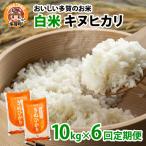 キヌヒカリ10kg×6回 おいしい多賀のお米