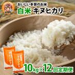 キヌヒカリ10kg×12回 おいしい多賀のお米