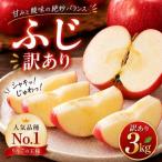 りんご 訳あり 3kg