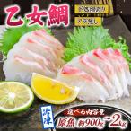 乙女 鯛 2尾