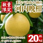まなべみかん園の河内晩柑 約20kg