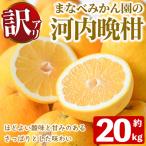 早生 温州ミカン食べ比べセット 合計20kg