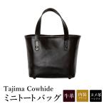 Tajima Cowhide ミニトートバッグ