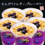 フローズンドリンク ブルーベリー チーズケーキ 300g