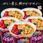 フローズンドリンク アサイー 300g