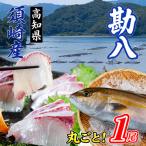カンパチ丸ごと1本 ラウンド