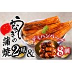 ショッピングふるさと納税 うなぎ ふるさと納税 AB273.うなぎの蒲焼２尾＆大人気のデミハンバーグ８個【新宮町ゴールデンセット】 福岡県新宮町