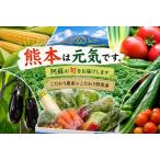 阿蘇高原 農家直送こだわり野菜と阿蘇特産品セット