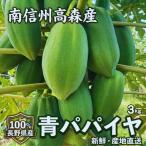南信州高森産 青パパイヤ 3kg