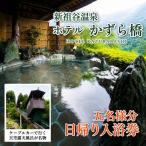 日帰り温泉券 徳島 旅行 ホテルかずら橋 5名様分