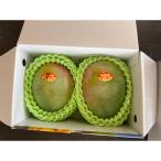 fu.... налог ключ tsu манго super товар примерно 1kg Okinawa префектура юг замок город 
