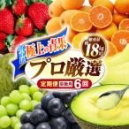 フルーツ定期便 旬のフルーツ