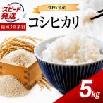 令和7年産 こしひかり 5kg