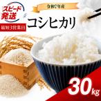 令和7年産 こしひかり 30kg
