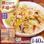 御彩 いろどり 長崎ちゃんぽん 40食入り