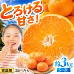 温州みかん 3kg