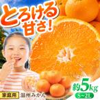 温州みかん 5kg