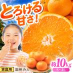 温州みかん 10kg