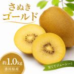 さぬきゴールドキウイ 約1.0kg