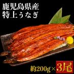 特上うなぎ 約600g