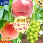 厳選 旬のフルーツ定期便 桃2kg×2回配送