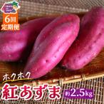 紅あずま 約2.5kg