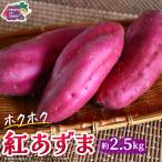 紅あずま 約 2.5kg