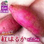 紅はるか 約 2.5kg