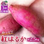 紅はるか 約 2.5kg