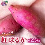 紅はるか 約 2.5kg