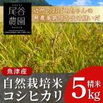 尾谷農園 自然栽培米コシヒカリ 玄米5kg