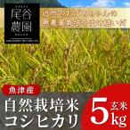 尾谷農園 自然栽培米コシヒカリ 玄米5kg