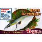 ぶりまるごと1尾 4kg以上