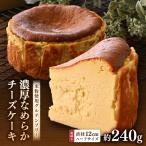 02gleeのなめらかチーズケーキ お試しハーフサイズ