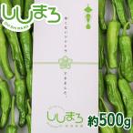 ししとう 500g