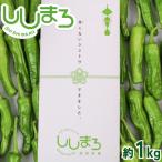 ししとう 1kg