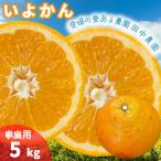 伊予柑 いよかん 約5kg