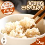 コシヒカリ 玄米 5kg