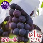 厳選 ピオーネ 2房 計1.0kg以上