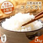 コシヒカリ 精米 5kg