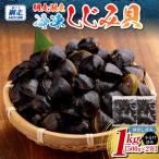 網走湖産冷凍しじみ貝小分け済み 砂出し済み