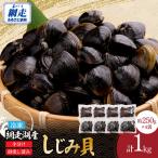 網走湖産冷凍しじみ貝小分け済み1kg