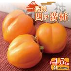 四ッ溝 柿 約4.5kg