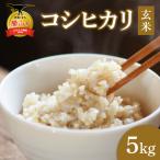 コシヒカリ 玄米 5kg