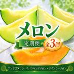 メロン 3ヶ月 定期便 アンデス イバラキング