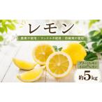 レモン 約5kg