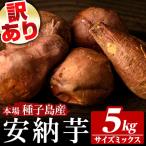 訳あり 安納芋 5kg