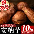 ふるさと納税 訳あり 安納芋 10kg・サイズミックス 国産 鹿児島 種子島 さつまいも  B級 【種子島安納株式会社】n462 鹿児島県中種子町
